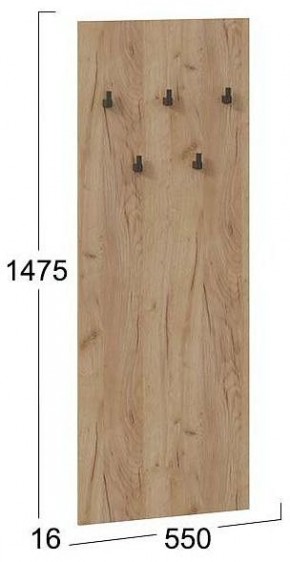 Вешалка настенная Хилтон Исп.2.1 в Талице - talica.mebel24.online | фото 4