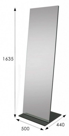 Зеркало напольное Стелла 2 в Талице - talica.mebel24.online | фото 9