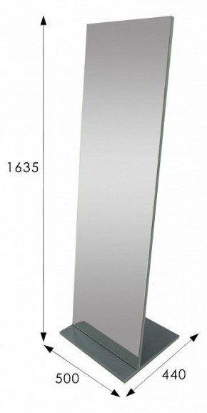 Зеркало напольное Стелла 2 в Талице - talica.mebel24.online | фото 9